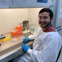 Daniel Urrutia Cabrera (Phd)