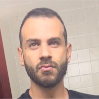 Alber Issa Daood ,Pmp®,P3O®
