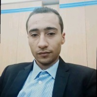 Amir Aloui