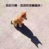 林超超
