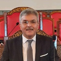Ahmed Elbouzidi