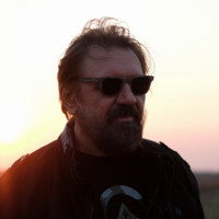 Vladimir Negovanovic