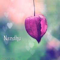 Nandhini R