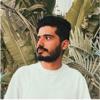 Essam Elsaadany