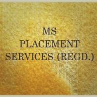 DR V L SHARMA MS PLACEMENT SERVICES (REGD.)
