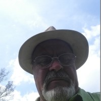 Terry Gwin