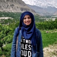 Sumbul Zehra
