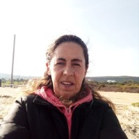 paula vilas boas vilas boas