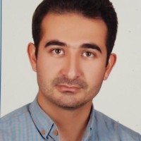 Mohsen Goli