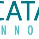 Catalytic Innovations