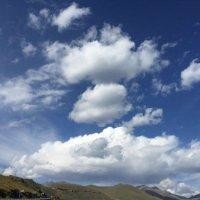 王恩泽