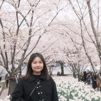 Sinuo Chen