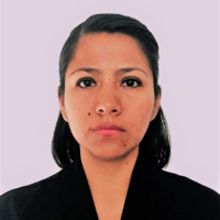Sara Elizabeth Pérez M.