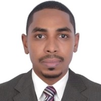 Wael Elbashir