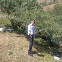 Ali Haydari