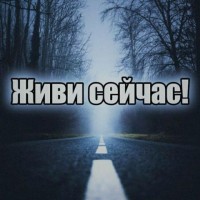 Niko Lay
