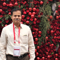 Rathnavel M