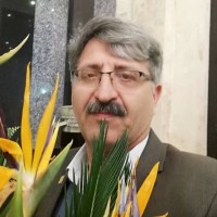 m alavi