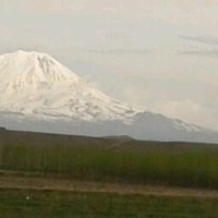 Suat Yanik