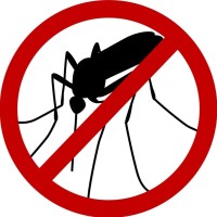 New Mosquito Net