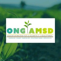 ONG AMSD