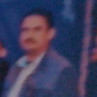 ALI FAYED