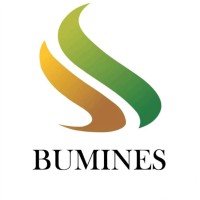 BUMINES PT Bumi Indo Resources