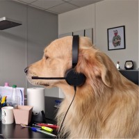 Séraphin Whitedog