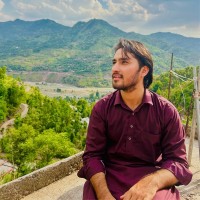 Nazish Madni