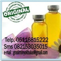 Minyak Bulus Asli