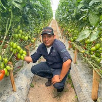 luis alvarez cuevas