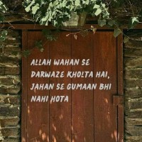 Nagul_M Shaik