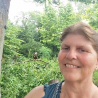 Dawn Biddle