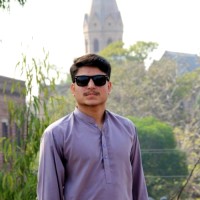 Mesum Waziri