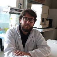Lorenzo Lazzaro