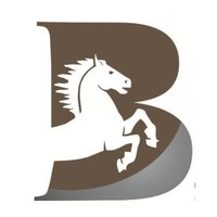 B2L Software Solutions