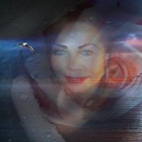 Margo O'Fallon