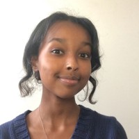 Ayan Araleh