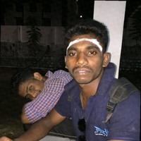 Narayanan p
