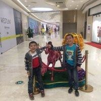 张太军