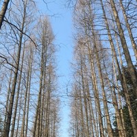 侯晓辉