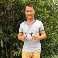 杨启杰