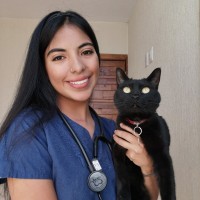 Maria Fernanda Yañez Pinto