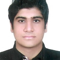Mohammad Salahi Nezhad