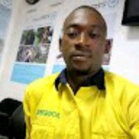 Moussa Dioubate