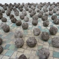 Jane Higginbottom MRBS