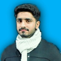 Ali Hamza