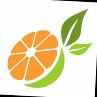 Orange Softech Solutions