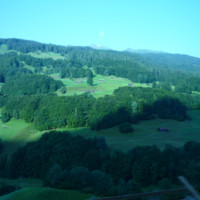 Udo Schäfer