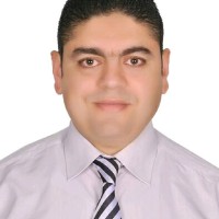 mohammed Abdelsattar